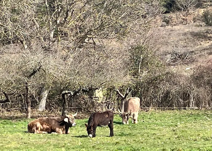 At La Era De Hébergement de vacances