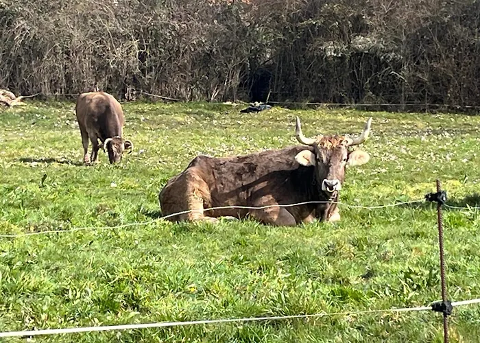 At La Era De בית נופש *