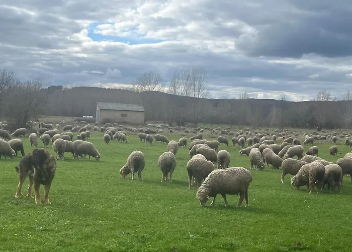 At La Era De בית נופש Cerezales del Condado
